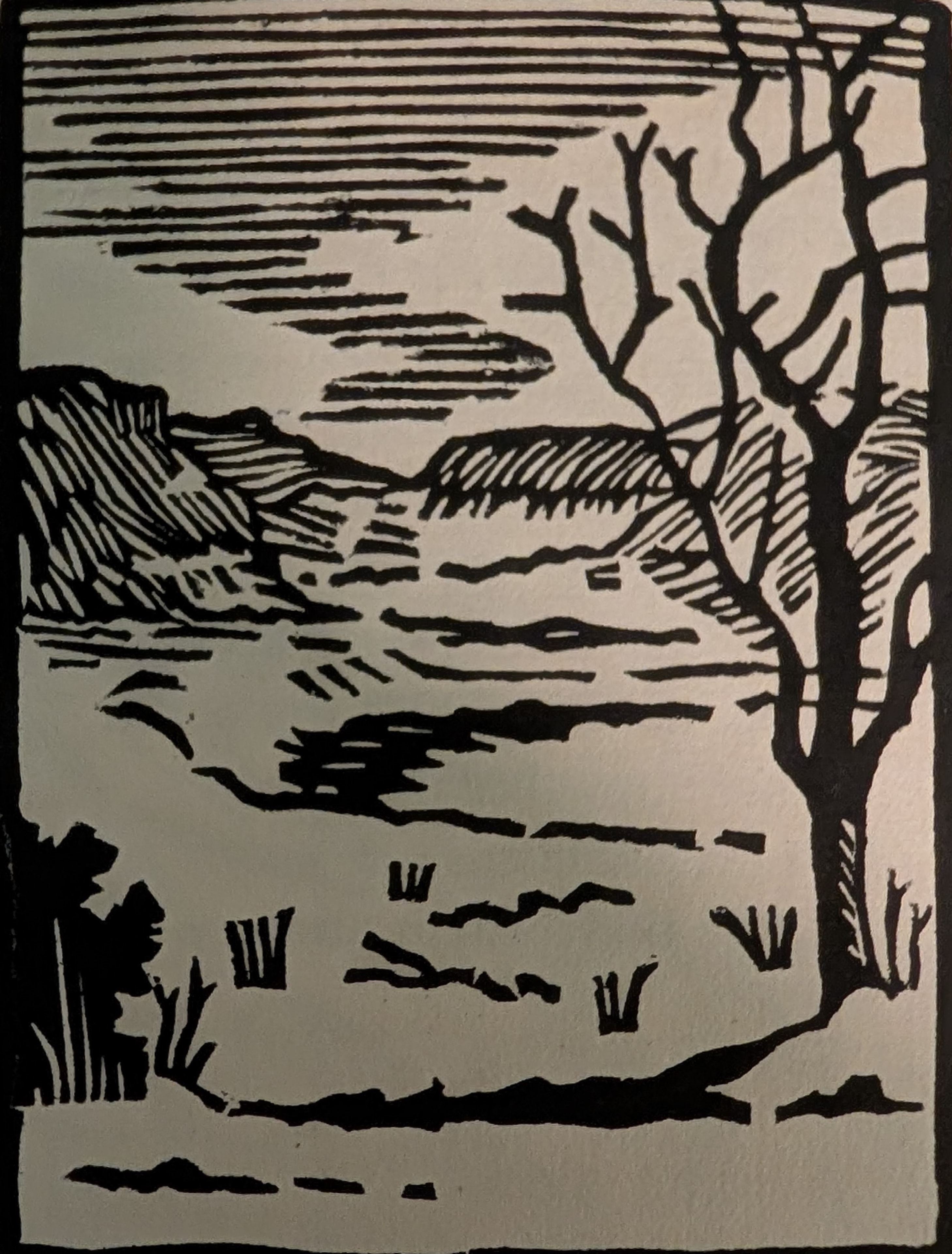 Black and white woodblock print by Harold J. Matthews depicting the North Dakota Badlands — layered buttes and canyon walls with a bare tree in the foreground.